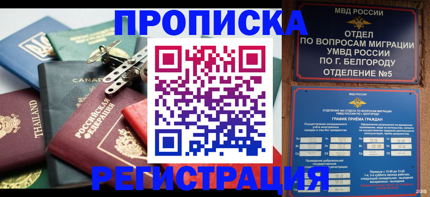 временная регистрация недорого в Архангельске